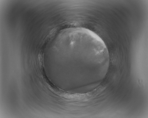 X0000061720036200512161607