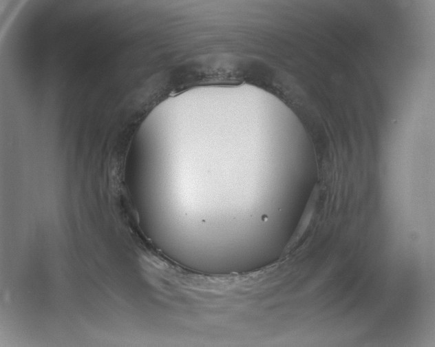 X0000061720037200512161607