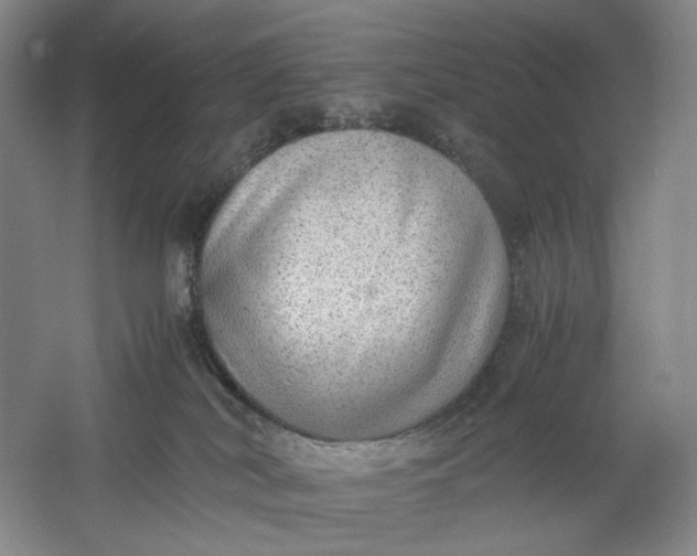 X0000061720038200512161607