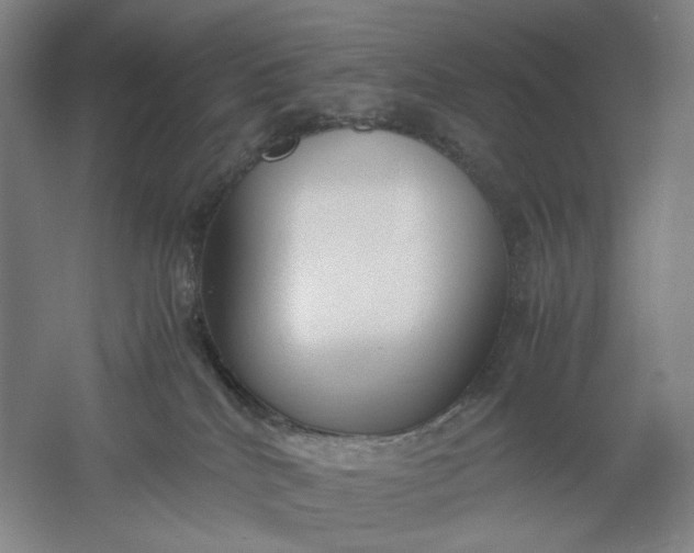 X0000061720040200512161607