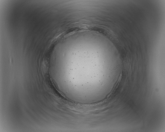 X0000061720043200512161607