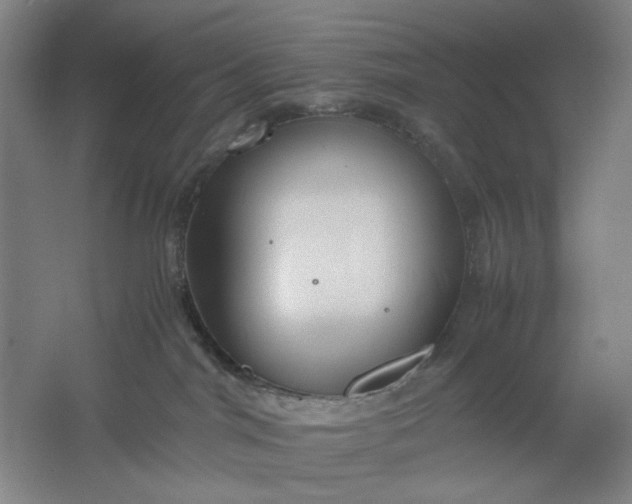 X0000061720044200512161607