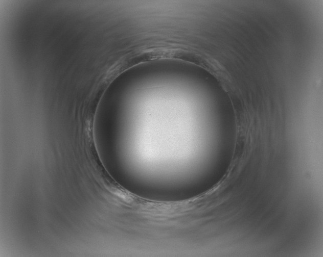 X0000061720045200512161607