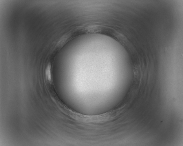 X0000061720046200512161607