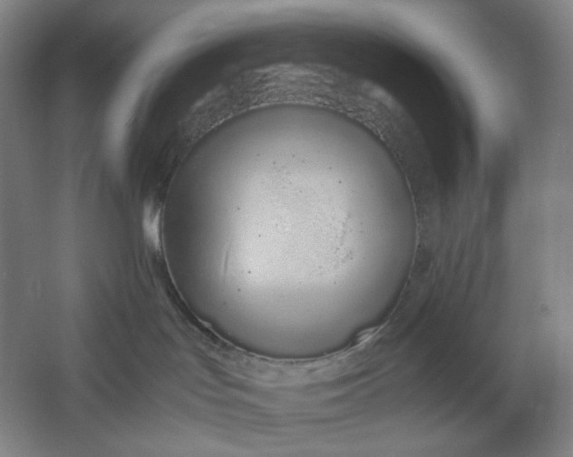 X0000061720047200512161607