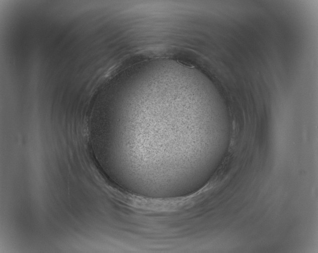 X0000061720048200512161607