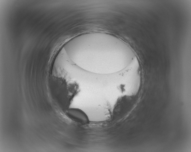 X0000061720049200512161606