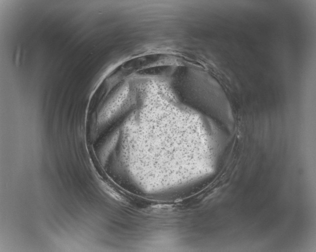 X0000061720052200512161606