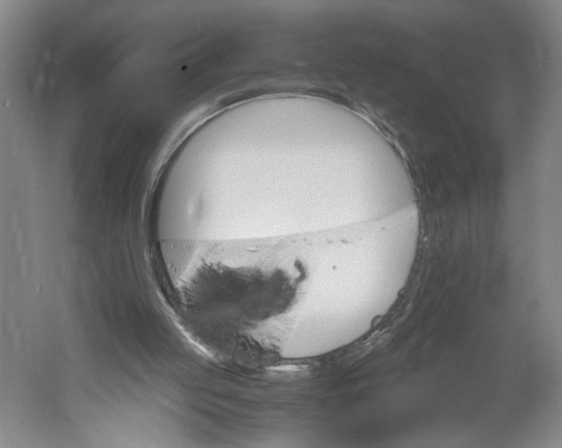 X0000061720053200512161606