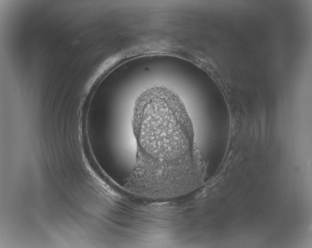 X0000061720054200512161606