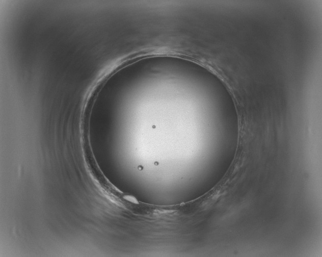 X0000061720055200512161606