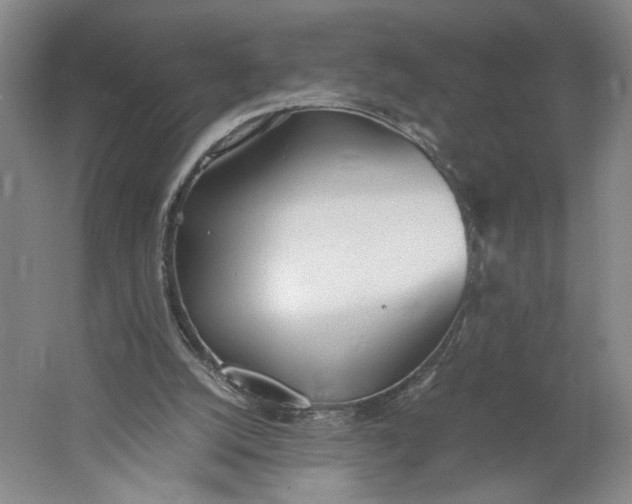 X0000061720056200512161606