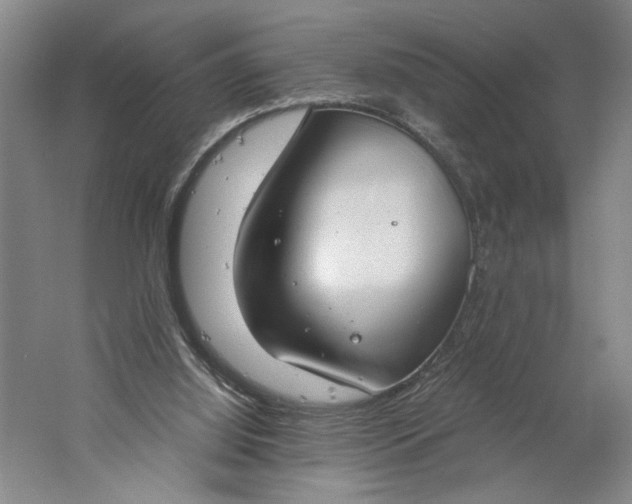 X0000061720060200512161606