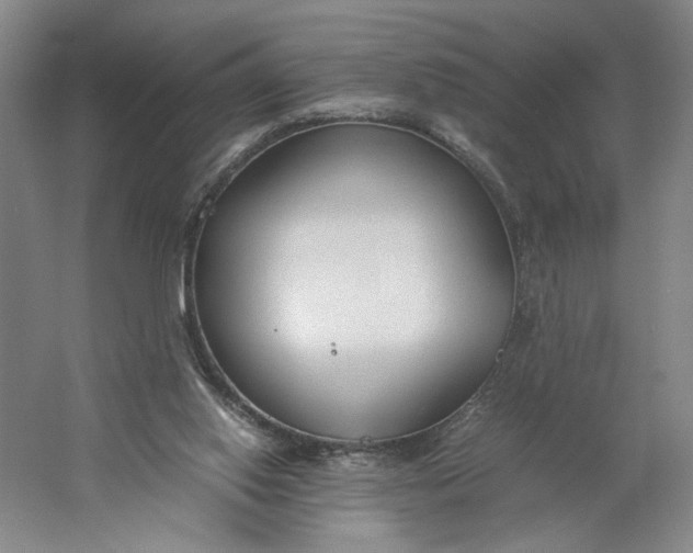 X0000061720062200512161606