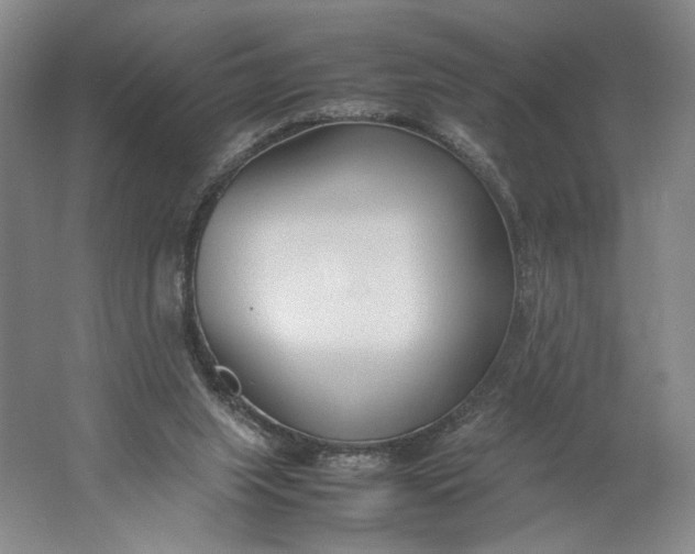 X0000061720063200512161606