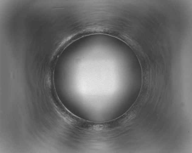 X0000061720064200512161606