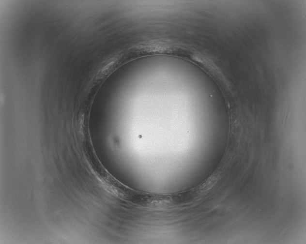 X0000061720066200512161606