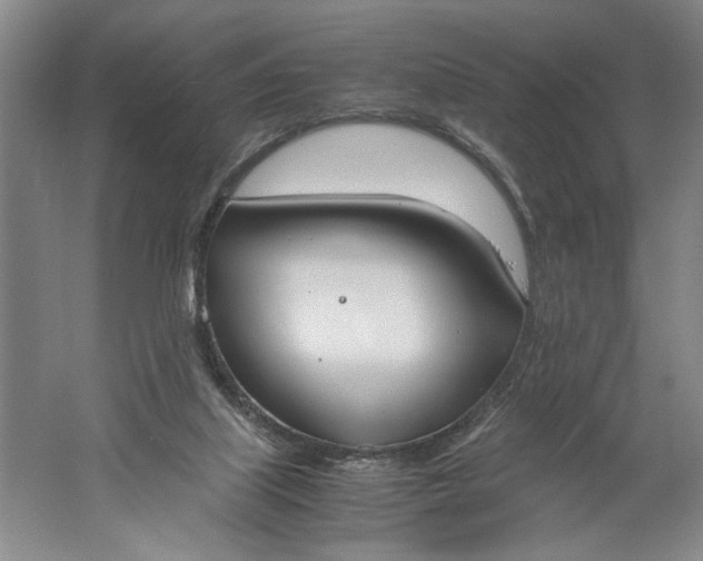 X0000061720067200512161606