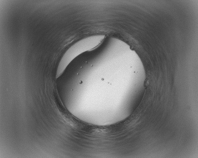 X0000061720071200512161606