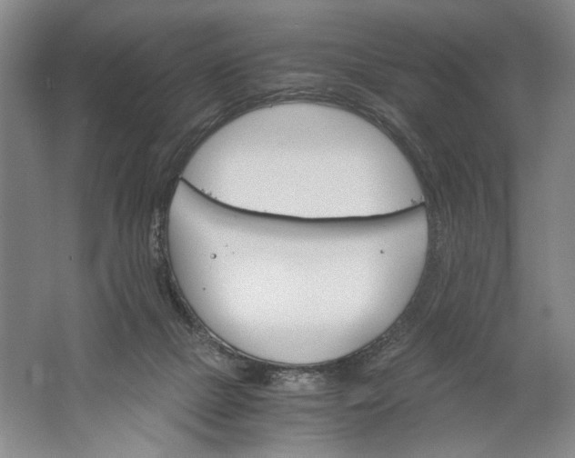 X0000061720073200512161606