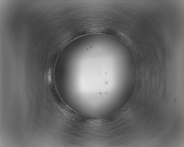 X0000061720075200512161606