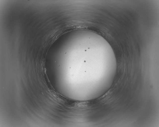 X0000061720078200512161606