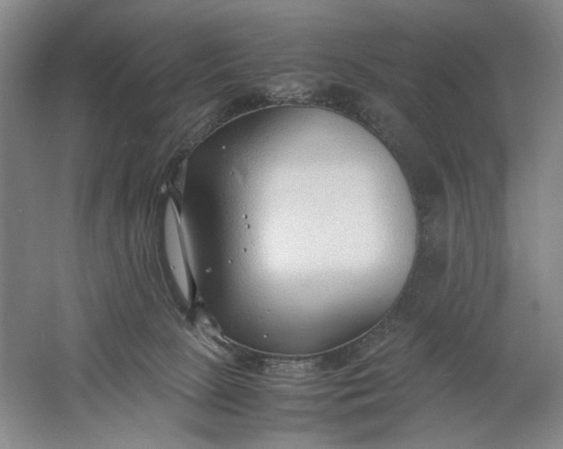 X0000061720081200512161606