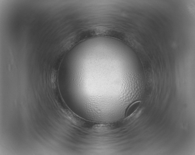 X0000061720082200512161606