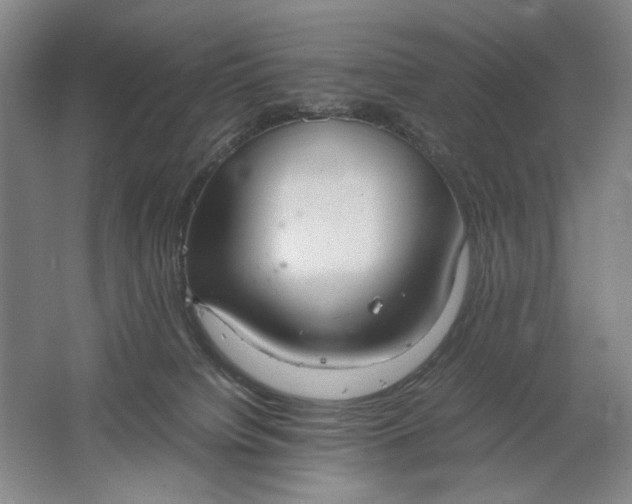 X0000061720084200512161607