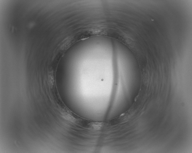 X0000061720085200512161607