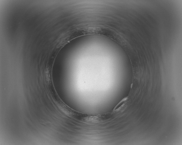 X0000061720086200512161607