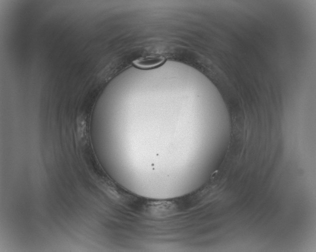 X0000061720087200512161607