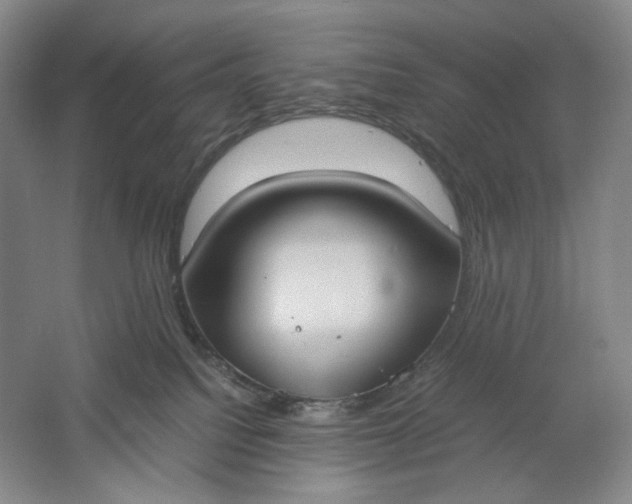 X0000061720088200512161607