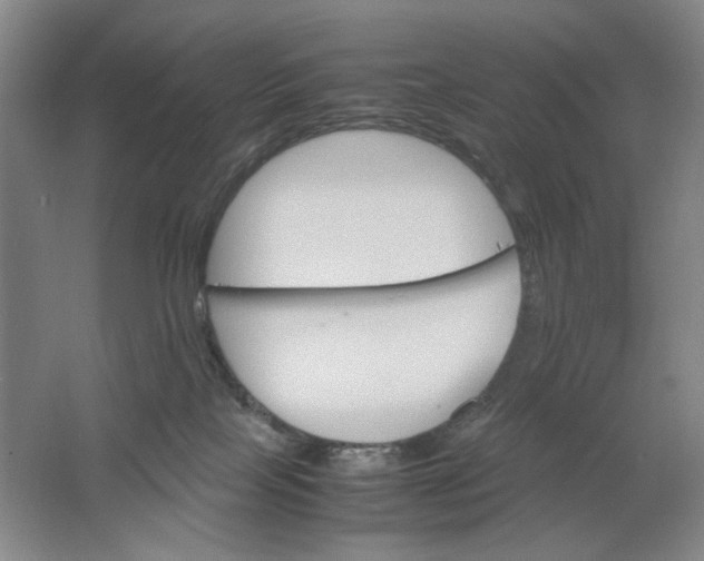 X0000061720089200512161607