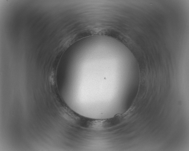 X0000061720090200512161607