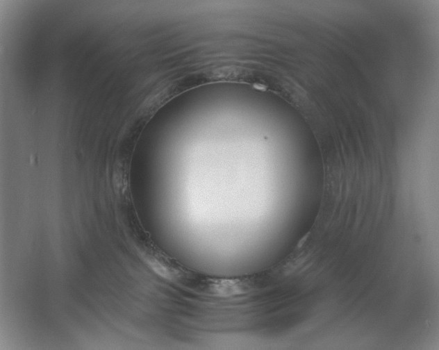 X0000061720091200512161607