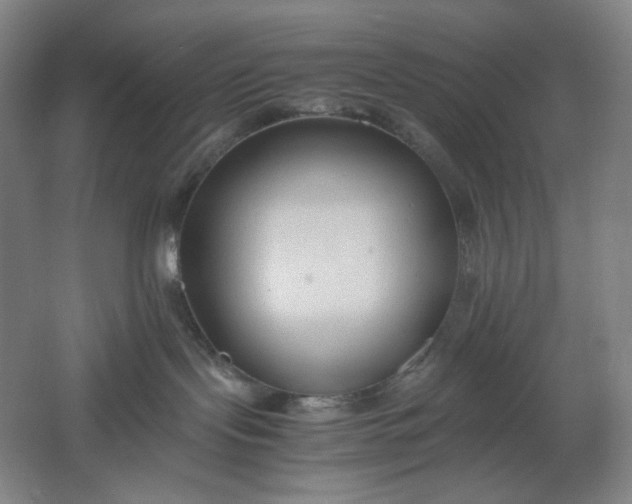 X0000061720095200512161607