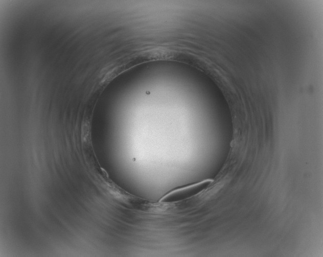 X0000061720096200512161607