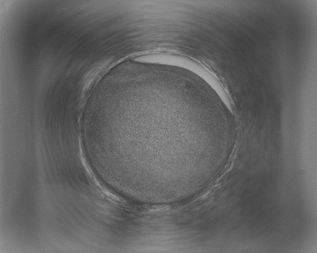 X0000061720097200512161606