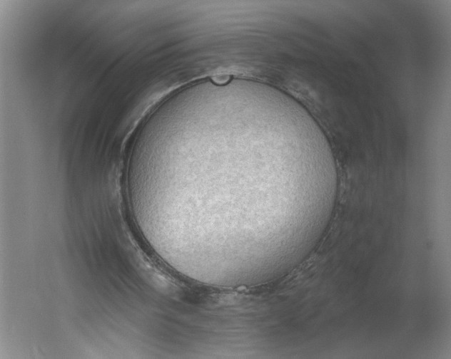 X0000061720098200512161606