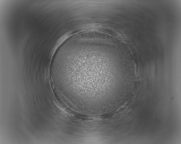 X0000061720099200512161606