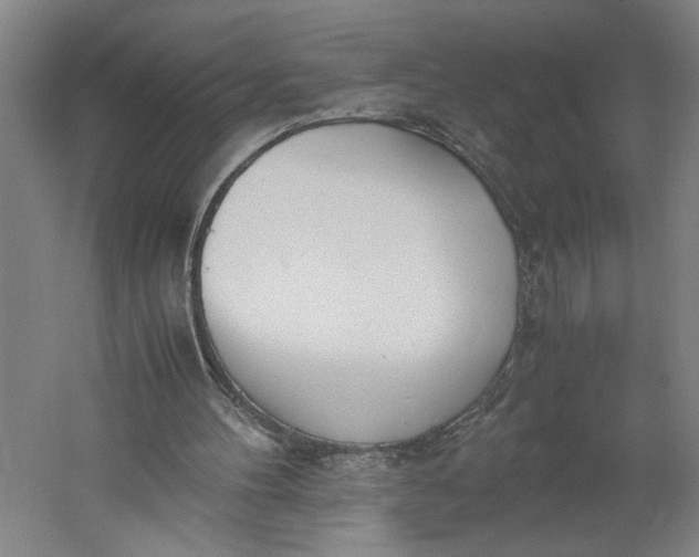 X0000061720100200512161606