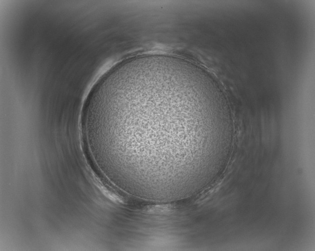 X0000061720102200512161606