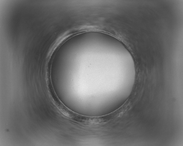 X0000061720103200512161606