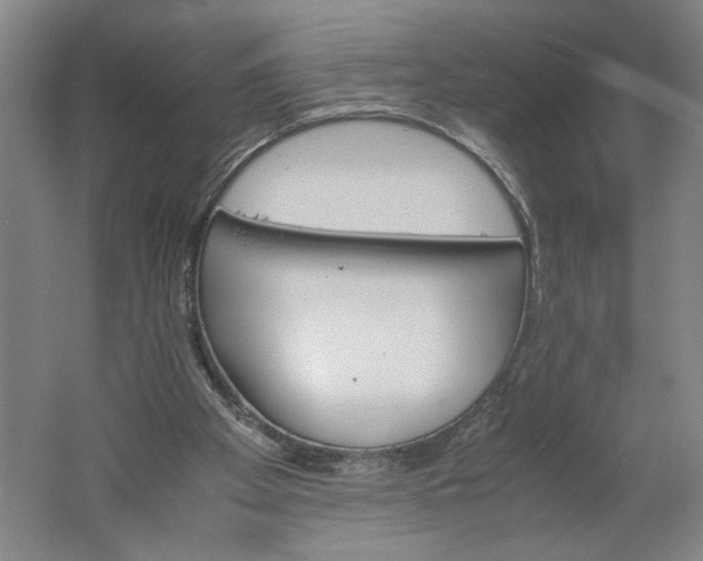 X0000061720105200512161606