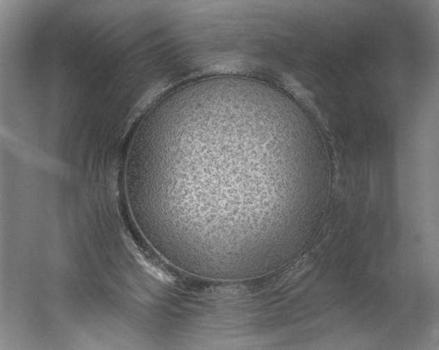 X0000061720106200512161606