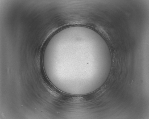 X0000061720108200512161606