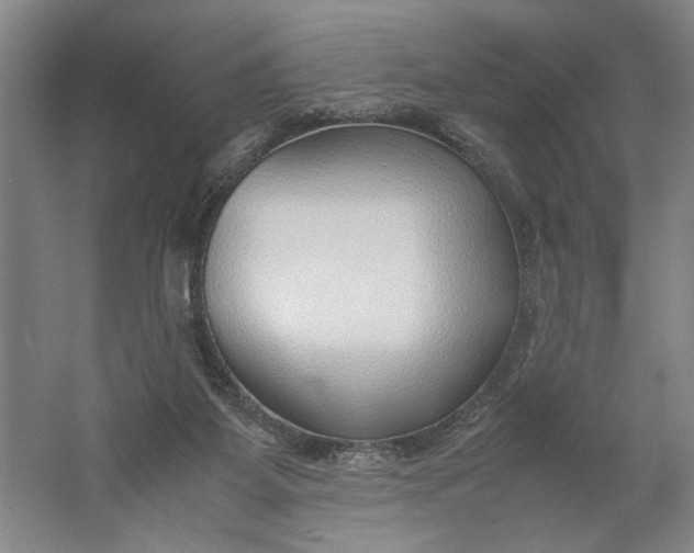 X0000061720115200512161606