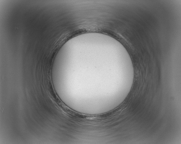 X0000061720117200512161606