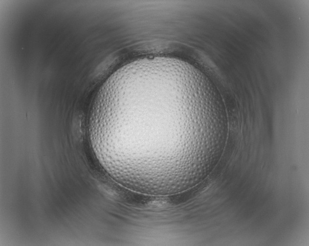 X0000061720119200512161606